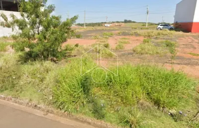 Terreno comercial à venda na Rua Otacilia Amelia da Silva Canale, 1112, Residencial Vida Nova Maracá (Padre Nobrega), Marília