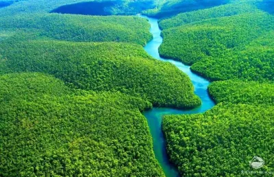 Área lindíssima de 69.140 hectares na amazônia ocidental