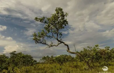 Fazenda lindíssima bem localizada em niquelândia/go