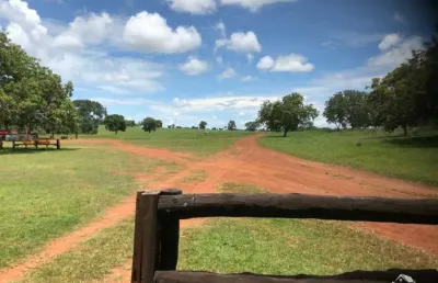 Fazenda ampla em gurupi/to - conta com grande extensão do rio santo antonio