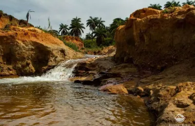 Fazenda com plantação de café, soja e casa muito boa em patos de minas