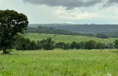 Fazenda à venda no Centro, Primavera do Leste 