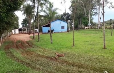 Chácara / sítio com 1 quarto à venda no Distrito Industrial, Uberlândia 