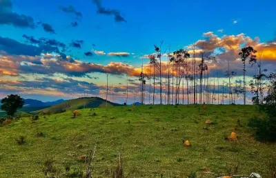 Fazenda à venda em São Francisco Xavier, São José dos Campos 