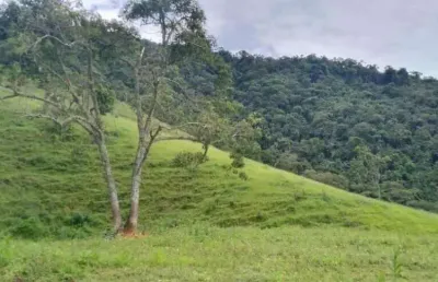 Terreno  em são francisco xavier com mata preservada e linda vista
