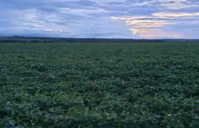 Fazenda dupla aptidão em rosário do oeste/mt - ótima oportunidade de negócio!