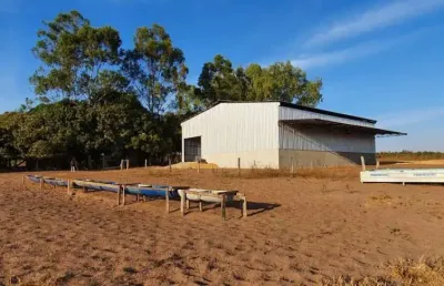 Fazenda incrível em paranatinga/mt - ótima oportunidade de negócio!
