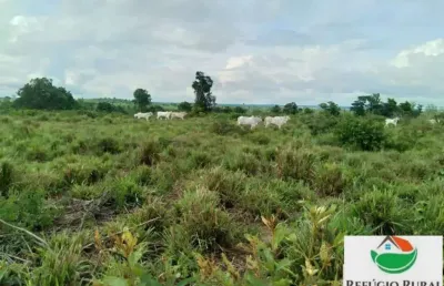Fazenda à venda no Setor Central, Juarina 