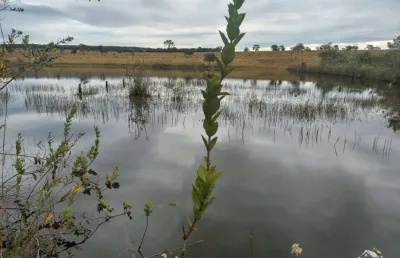 Fazenda à venda no Centro, Figueirão 