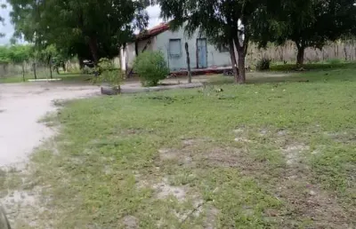 Fazenda de 2.350 hectares em marporá/ba - terra de oportunidade!