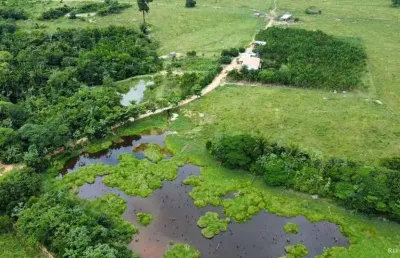 Fazenda à venda no Centro, Novo Progresso 