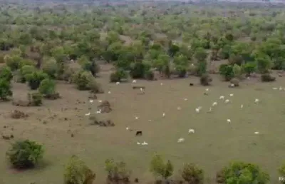 Fazenda à venda no Conjunto Guatos, Corumbá 