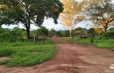 Fazenda à venda no Centro, Buritizeiro 