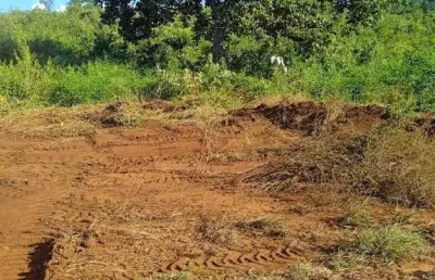 Fazenda à venda no Centro, Barro Alto 