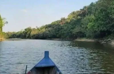 Fazenda pajurá vii com mata nativa em novo aripuanã/am