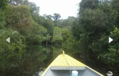 Fazenda pajurá iv com mata nativa em novo aripuanã/am