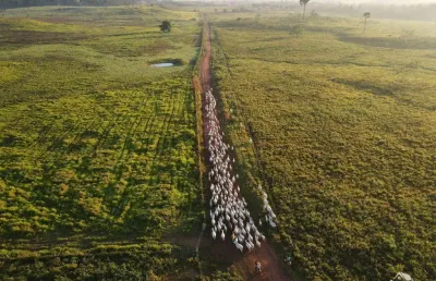 Fazenda à venda na Área Rural de Itaituba, Itaituba 
