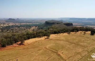 Fazenda à venda no Centro, Figueirão 