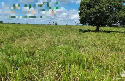 Fazenda incrível com ótima estrutura no sul do pará