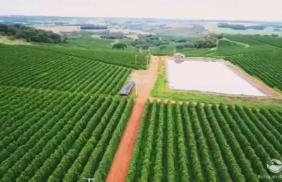 Fazenda à venda no Centro, Patos de Minas 