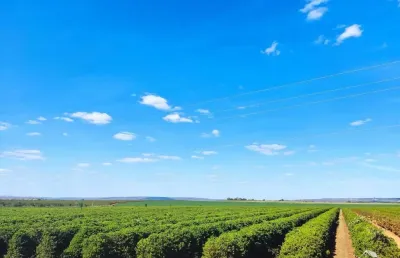 Fazenda à venda no Major Porto, Patos de Minas 