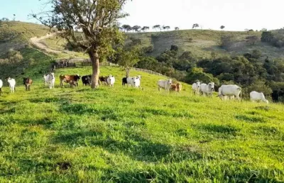 Fazenda à venda no Centro, Cunha 