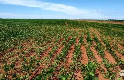 Fazenda à venda no Centro, Paranatinga 