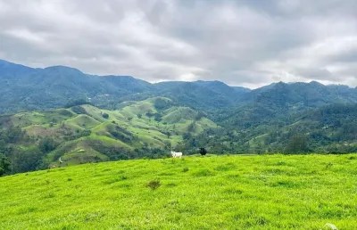Lindo terreno com vista espetacular em são francisco xavier