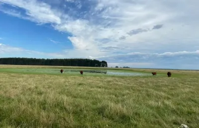 Fazenda à venda no Prado, Santana do Livramento 