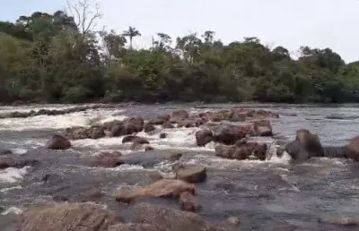 Fazenda incrível com mata preservada em novo aripuanã/am