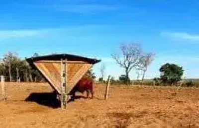 Fazenda  para pecuária imperdível em são valério da natividade/to