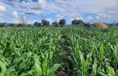 Fazenda incrível com estrutura excelente  em arraias/to