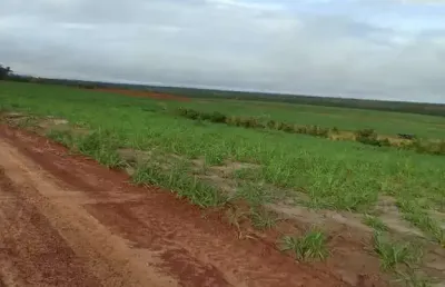 Fazenda excelente com ótima estrutura localizada em centenário/to