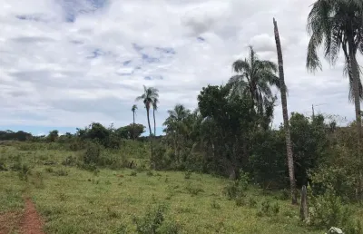 Fazenda à venda no Centro, Figueirão 