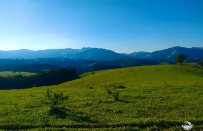 Fazenda incrível em ouro fino/ mg - excelente oportunidade de investimento!
