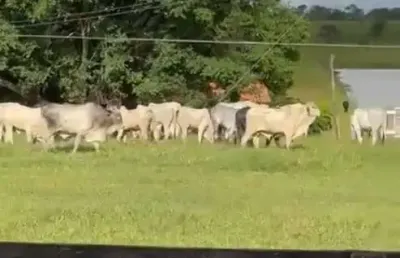 Fazenda à venda no Centro, São Gonçalo do Abaeté 