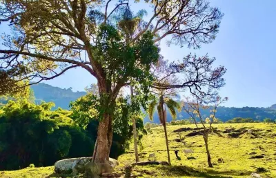 Terreno à venda no Centro, São Bento do Sapucaí 
