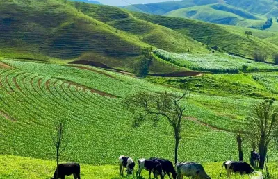 Fazenda imperdível com excelente estrutura em são josé do barreiro/sp