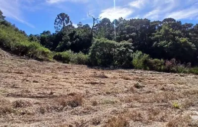 Chácara / sítio com 1 quarto à venda no Centro, Gonçalves 
