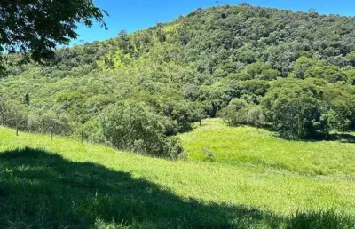 Fazenda à venda no Centro, Cunha 