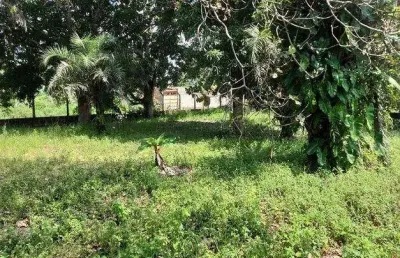 Lote à venda em rua pública, centro , são cristóvão, se
