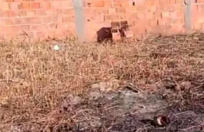 Terreno à venda na Avenida Principal, 115, Robalo, Aracaju