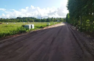 Lote à venda em rua pública, ponta do mangue, maragogi, al