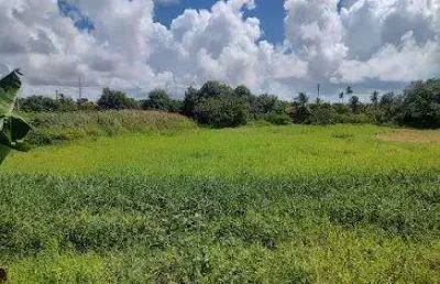 Terreno à venda na Rodovia dos Náufragos, 813, Robalo, Aracaju