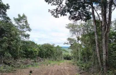 Terreno em condomínio fechado à venda na Estrada Plameiras - Caeté-açu, Caeté -Açu, Palmeiras