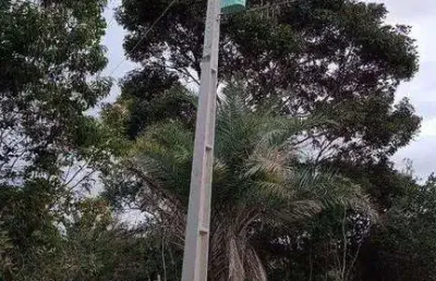 Lote à venda em rua pública, caeté-açu, palmeiras, ba