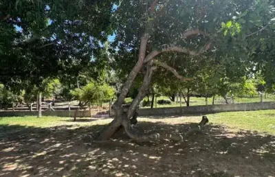 Casa à venda em rua pública, mosqueiro , aracaju, se
