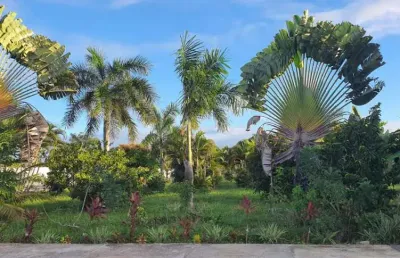Lote à venda no residencial guaricema , robalo , aracaju, se