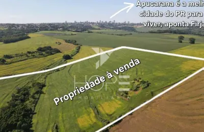 Sítio à venda  77,44 hectares de oportunidade na estância pinheiro alto em apucarana