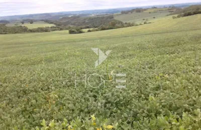 Fazenda 76 alqueires. (1.840.960 m²) à venda – beira do asfalto, assis/sp